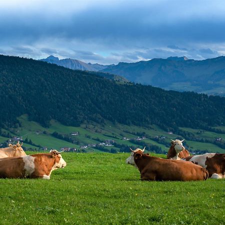 Ferienwohnung Bergpfote - Hund Herzlich Willkommen Scheidegg Bagian luar foto