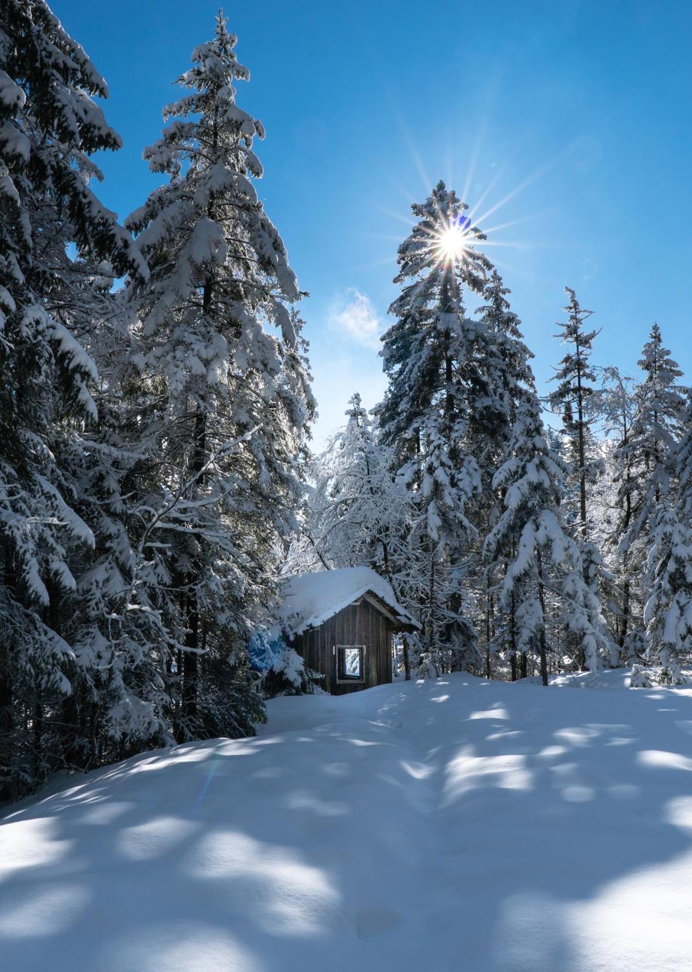 Ferienwohnung Bergpfote - Hund Herzlich Willkommen Scheidegg Bagian luar foto