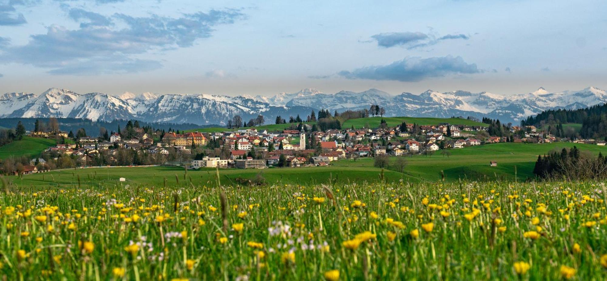 Ferienwohnung Bergpfote - Hund Herzlich Willkommen Scheidegg Bagian luar foto