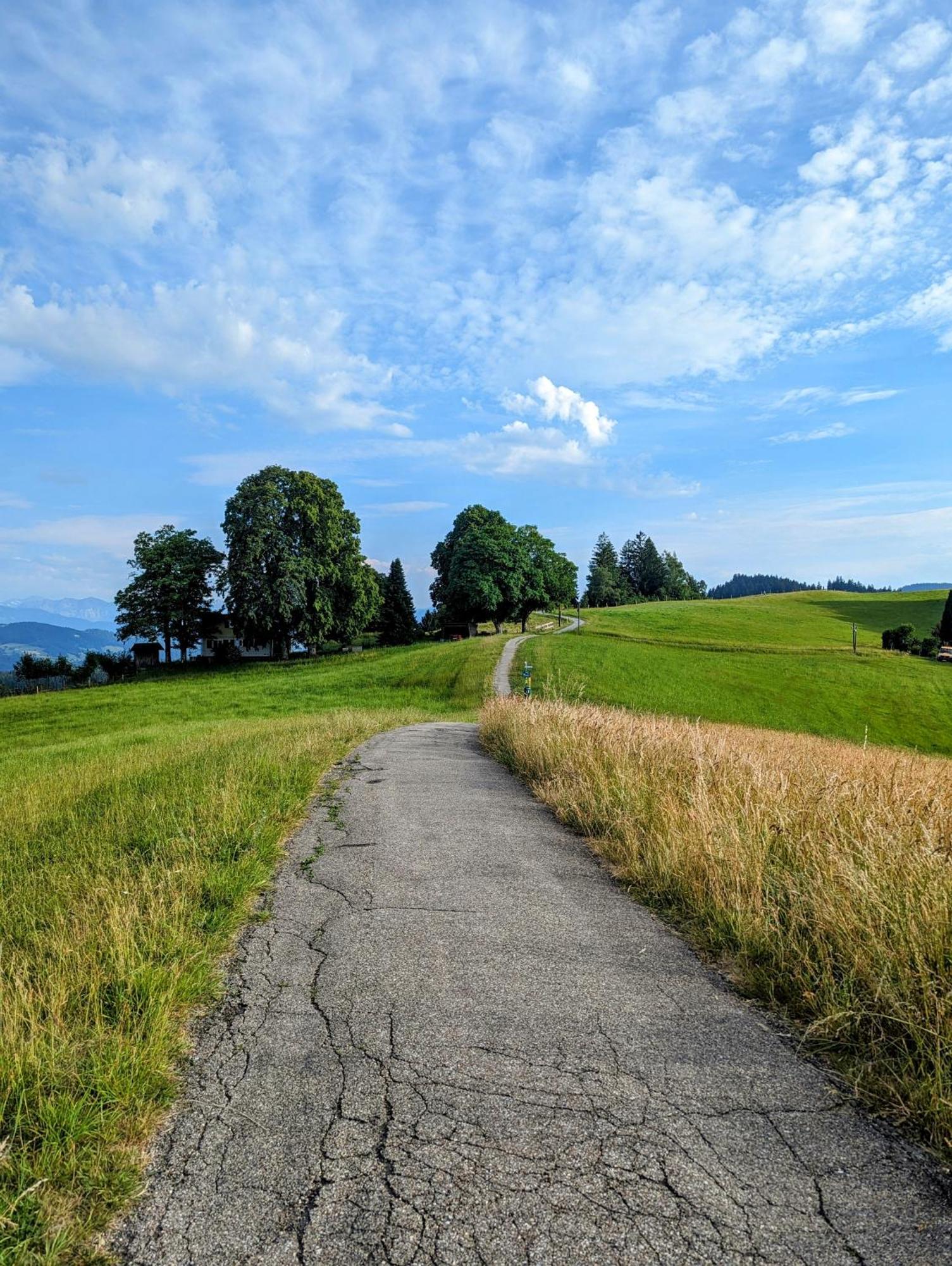 Ferienwohnung Bergpfote - Hund Herzlich Willkommen Scheidegg Bagian luar foto